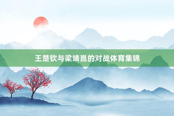 王楚钦与梁靖崑的对战体育集锦