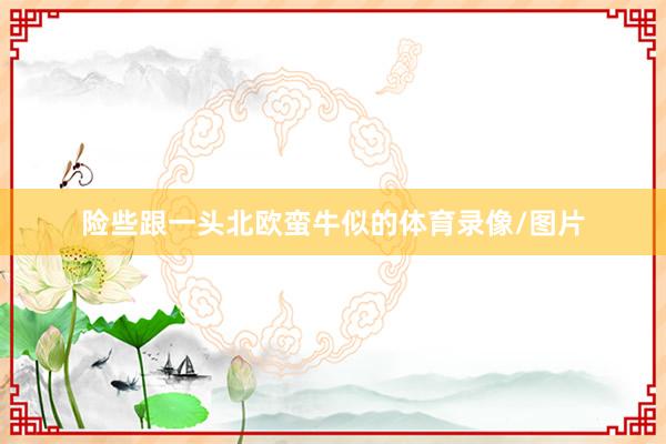 险些跟一头北欧蛮牛似的体育录像/图片