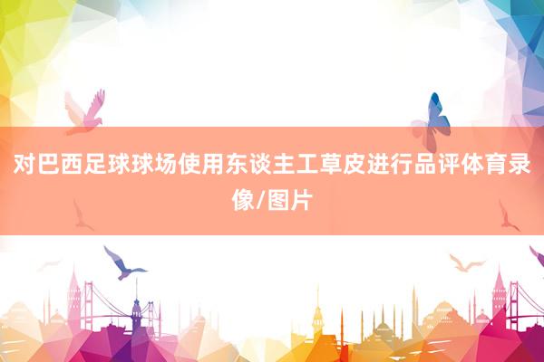 对巴西足球球场使用东谈主工草皮进行品评体育录像/图片