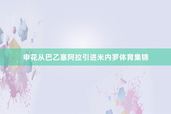 申花从巴乙塞阿拉引进米内罗体育集锦