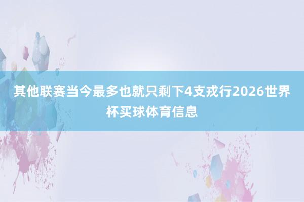 其他联赛当今最多也就只剩下4支戎行2026世界杯买球体育信息
