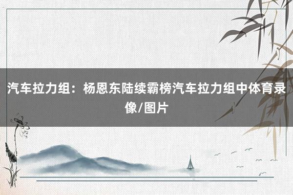 汽车拉力组：杨恩东陆续霸榜　　汽车拉力组中体育录像/图片