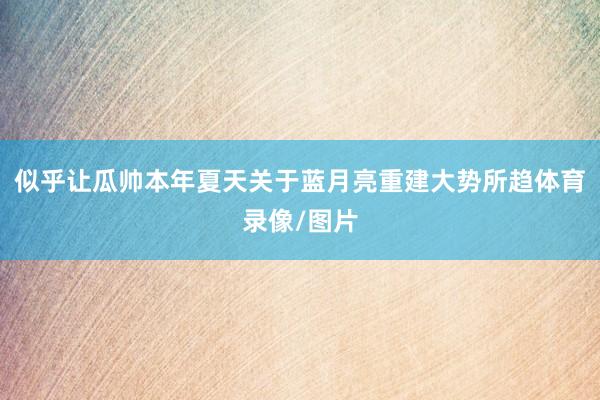 似乎让瓜帅本年夏天关于蓝月亮重建大势所趋体育录像/图片