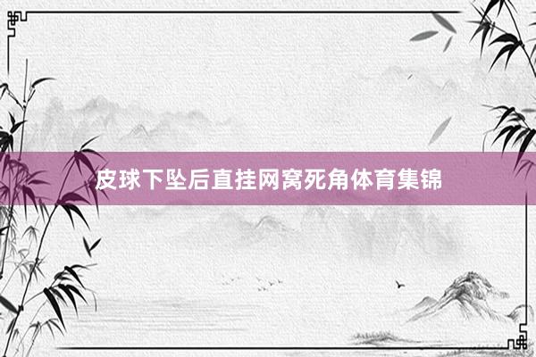 皮球下坠后直挂网窝死角体育集锦