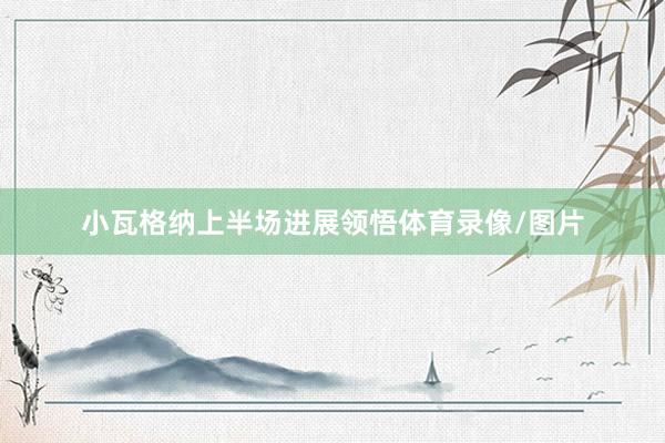 小瓦格纳上半场进展领悟体育录像/图片