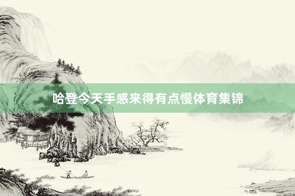 哈登今天手感来得有点慢体育集锦