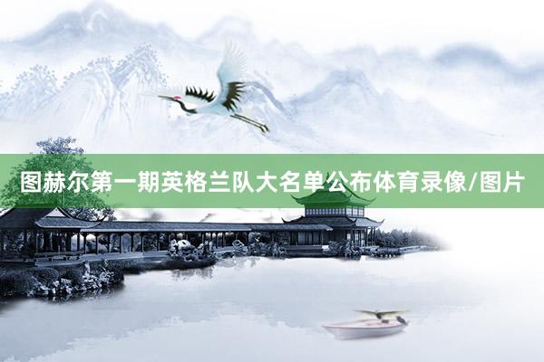 图赫尔第一期英格兰队大名单公布体育录像/图片