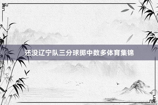 还没辽宁队三分球掷中数多体育集锦