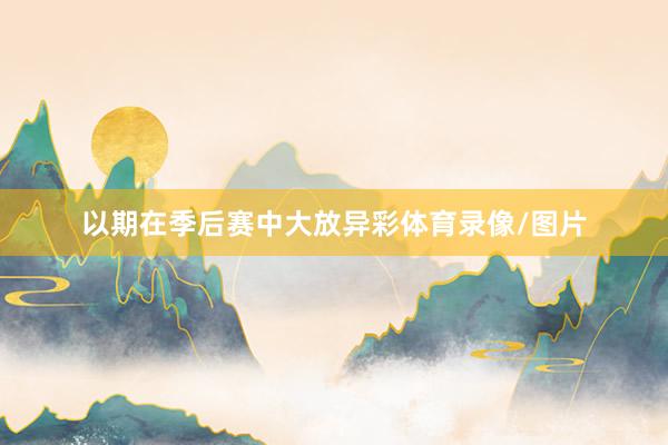 以期在季后赛中大放异彩体育录像/图片