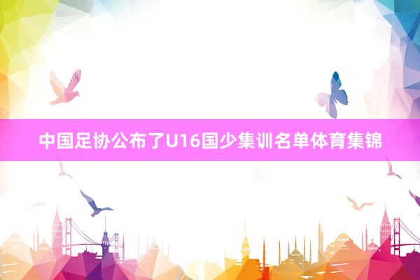 中国足协公布了U16国少集训名单体育集锦