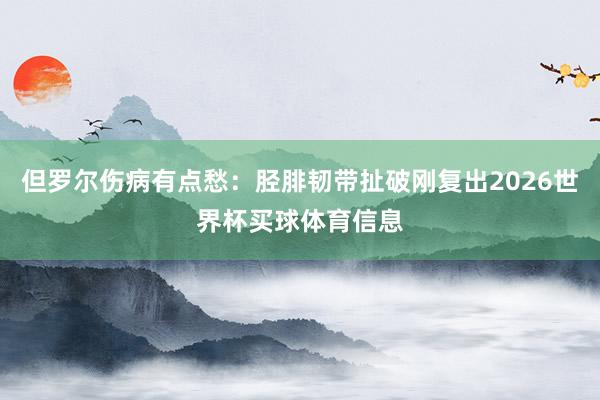 但罗尔伤病有点愁：胫腓韧带扯破刚复出2026世界杯买球体育信息