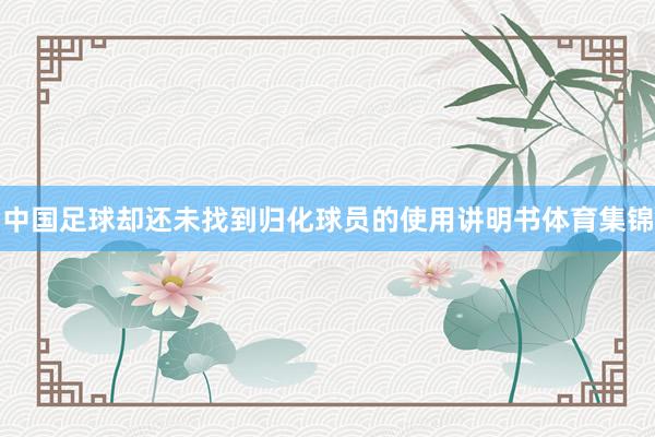 中国足球却还未找到归化球员的使用讲明书体育集锦