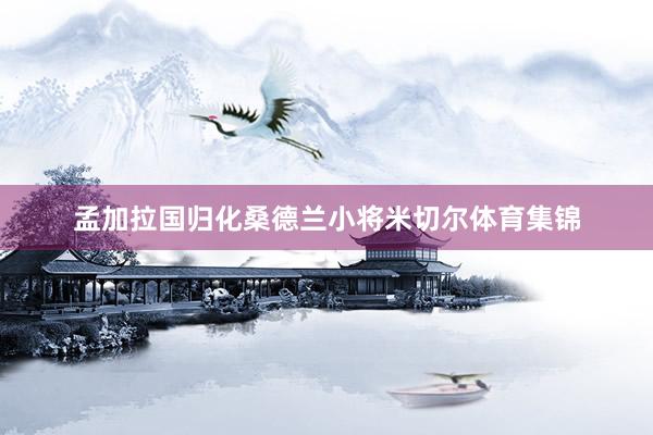 孟加拉国归化桑德兰小将米切尔体育集锦