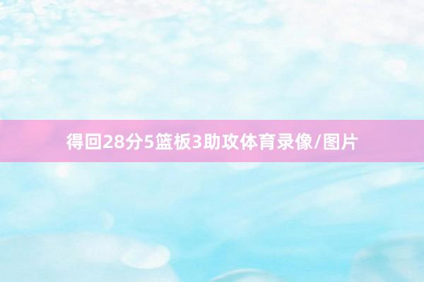 得回28分5篮板3助攻体育录像/图片