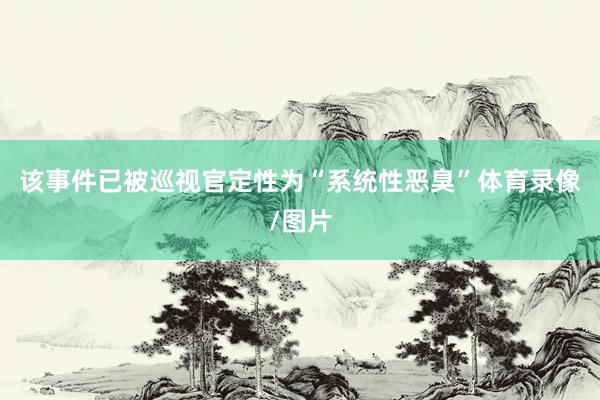 该事件已被巡视官定性为“系统性恶臭”体育录像/图片
