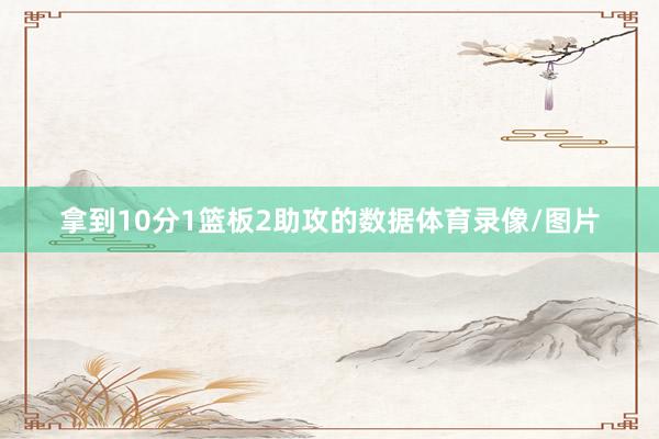 拿到10分1篮板2助攻的数据体育录像/图片