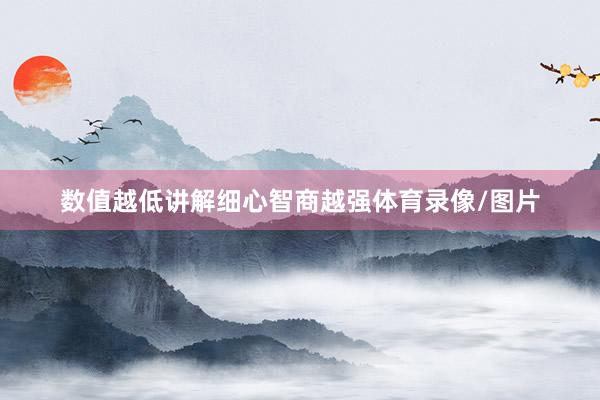 数值越低讲解细心智商越强体育录像/图片