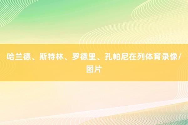 哈兰德、斯特林、罗德里、孔帕尼在列体育录像/图片