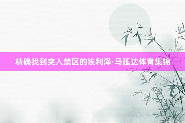 精确找到突入禁区的埃利泽·马延达体育集锦