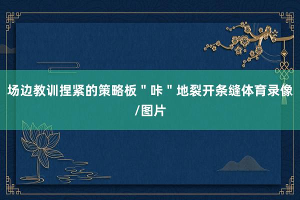 场边教训捏紧的策略板＂咔＂地裂开条缝体育录像/图片