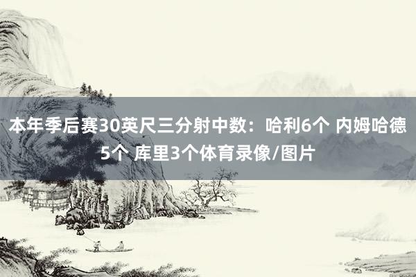 本年季后赛30英尺三分射中数：哈利6个 内姆哈德5个 库里3个体育录像/图片