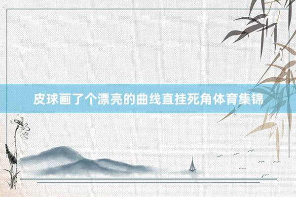 皮球画了个漂亮的曲线直挂死角体育集锦