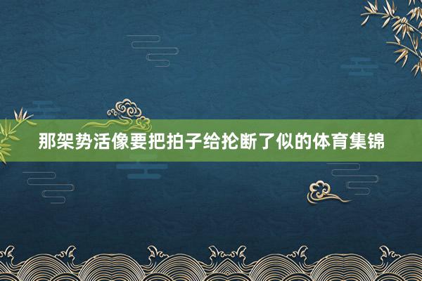那架势活像要把拍子给抡断了似的体育集锦