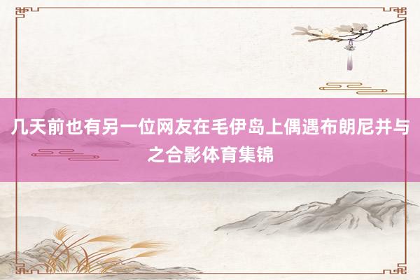 几天前也有另一位网友在毛伊岛上偶遇布朗尼并与之合影体育集锦