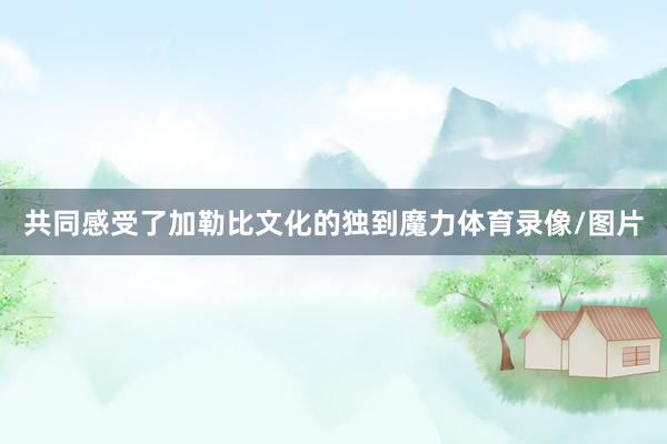共同感受了加勒比文化的独到魔力体育录像/图片