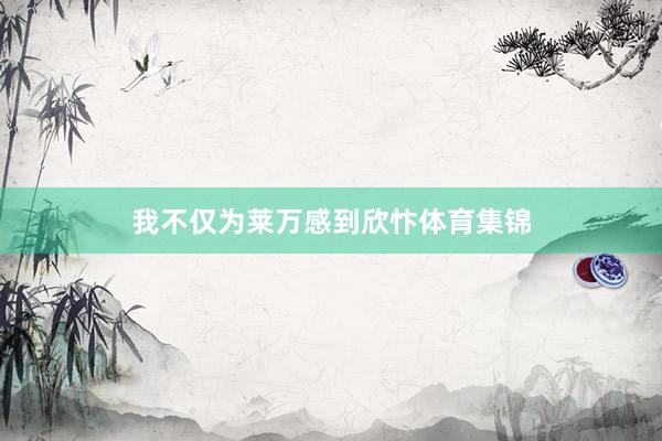 我不仅为莱万感到欣忭体育集锦