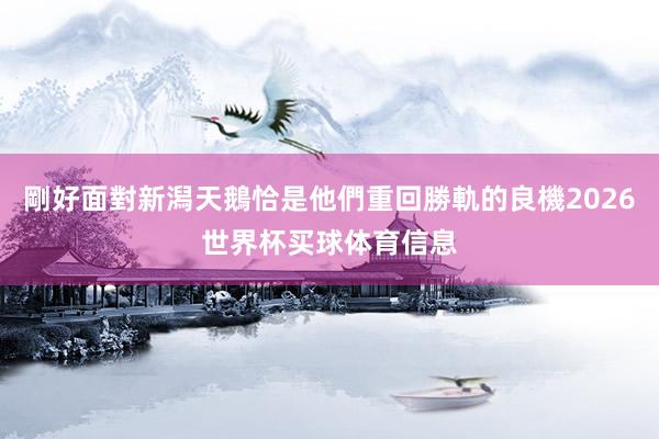 剛好面對新潟天鵝恰是他們重回勝軌的良機2026世界杯买球体育信息