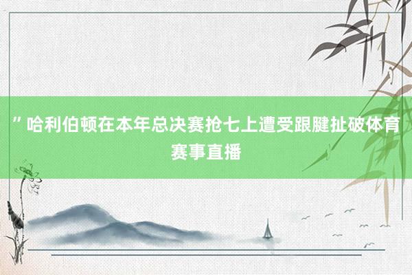 ”哈利伯顿在本年总决赛抢七上遭受跟腱扯破体育赛事直播