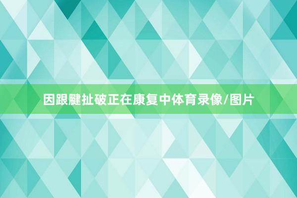 因跟腱扯破正在康复中体育录像/图片