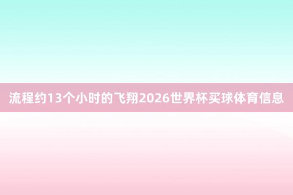 流程约13个小时的飞翔2026世界杯买球体育信息