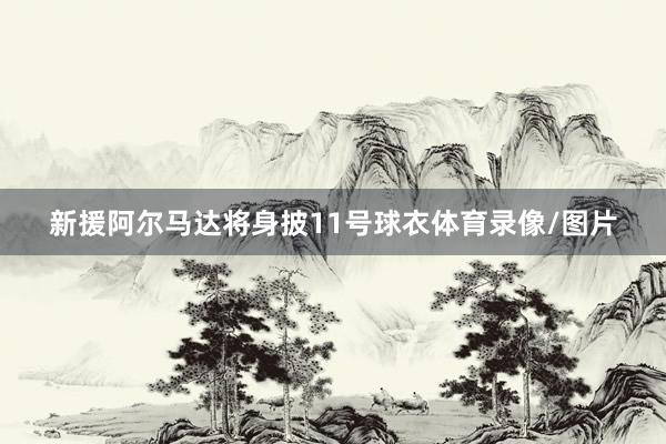 新援阿尔马达将身披11号球衣体育录像/图片