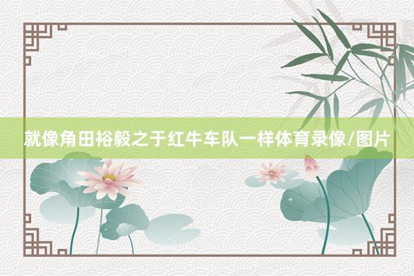 就像角田裕毅之于红牛车队一样体育录像/图片