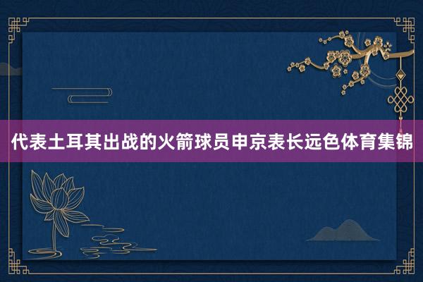 代表土耳其出战的火箭球员申京表长远色体育集锦