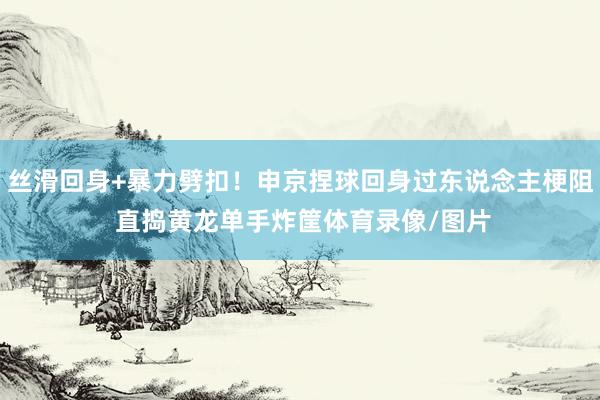 丝滑回身+暴力劈扣！申京捏球回身过东说念主梗阻 直捣黄龙单手炸筐体育录像/图片