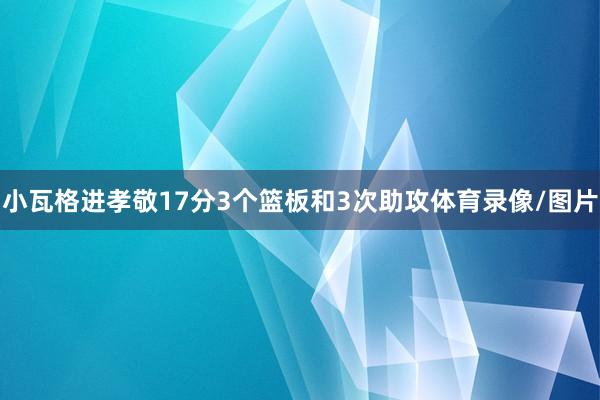 小瓦格进孝敬17分3个篮板和3次助攻体育录像/图片