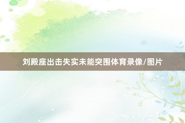 刘殿座出击失实未能突围体育录像/图片