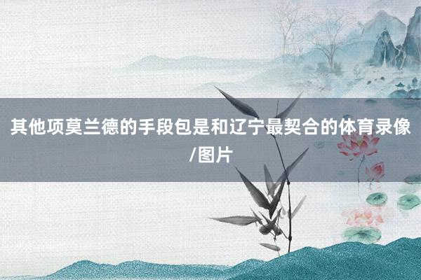 其他项莫兰德的手段包是和辽宁最契合的体育录像/图片