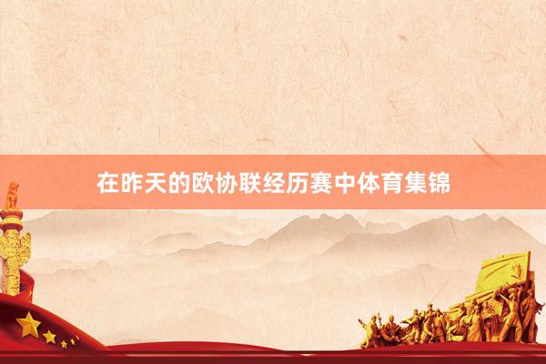 在昨天的欧协联经历赛中体育集锦