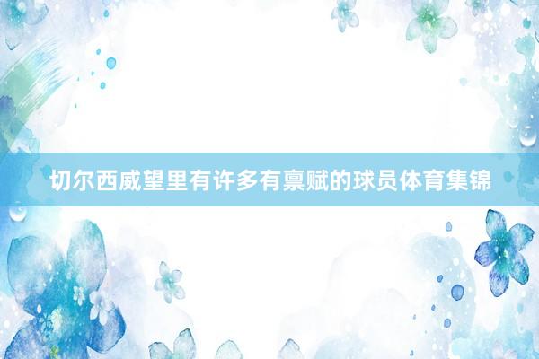 切尔西威望里有许多有禀赋的球员体育集锦