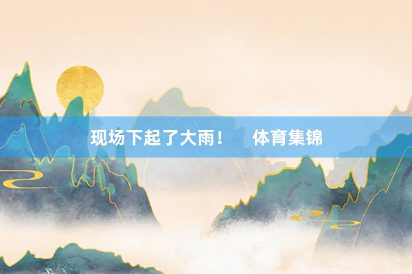 现场下起了大雨！    体育集锦