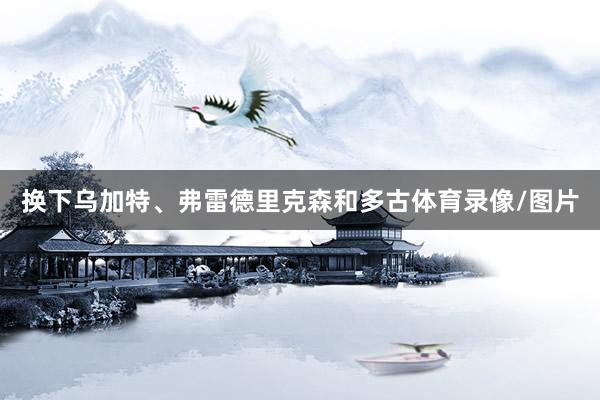换下乌加特、弗雷德里克森和多古体育录像/图片