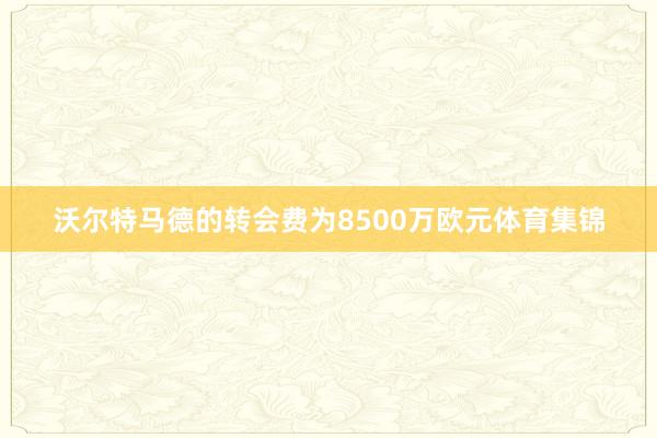 沃尔特马德的转会费为8500万欧元体育集锦