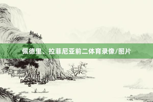 佩德里、拉菲尼亚前二体育录像/图片