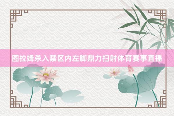 图拉姆杀入禁区内左脚鼎力扫射体育赛事直播