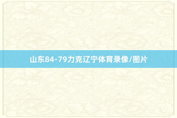 山东84-79力克辽宁体育录像/图片