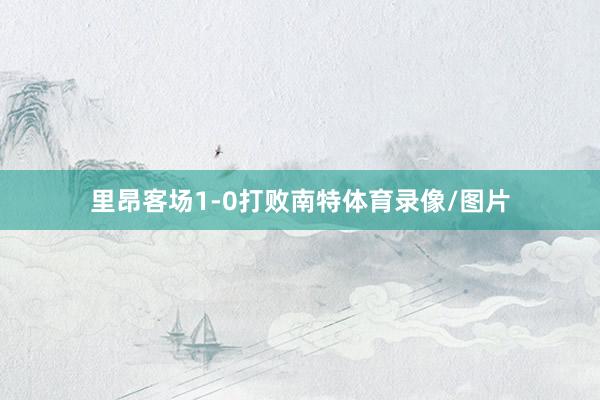 里昂客场1-0打败南特体育录像/图片